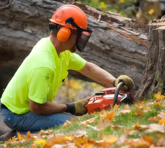 tree services Hide-A-Way Lake